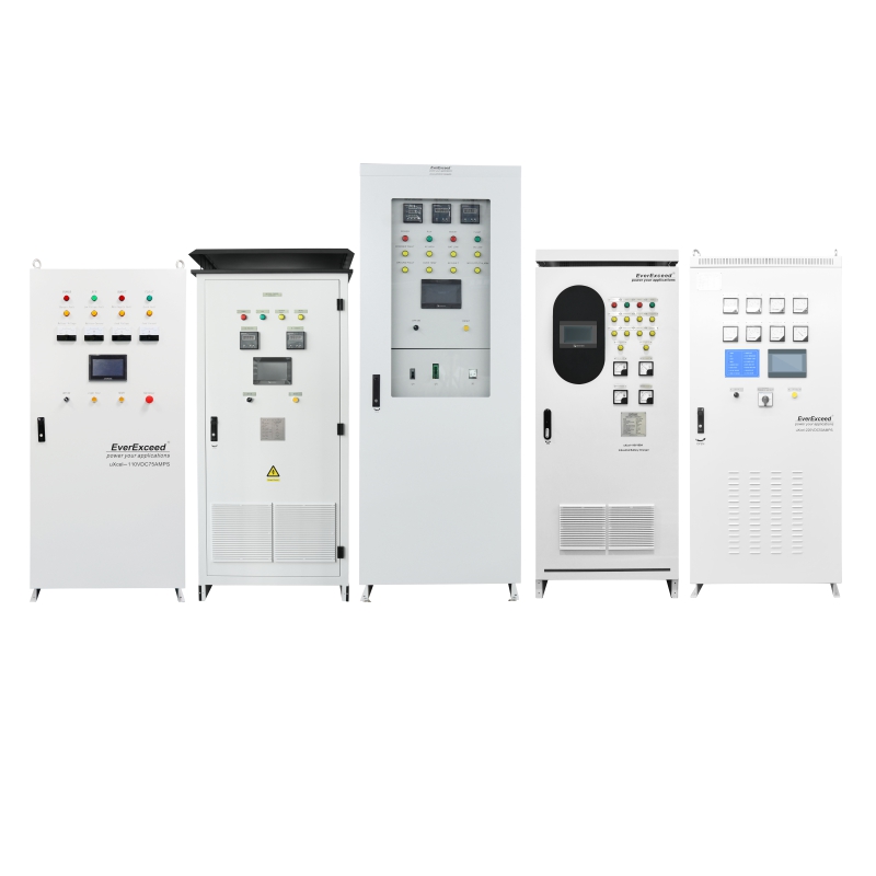 Cargador Industrial EverExceed